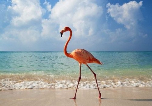 Photography of the destination Holbox